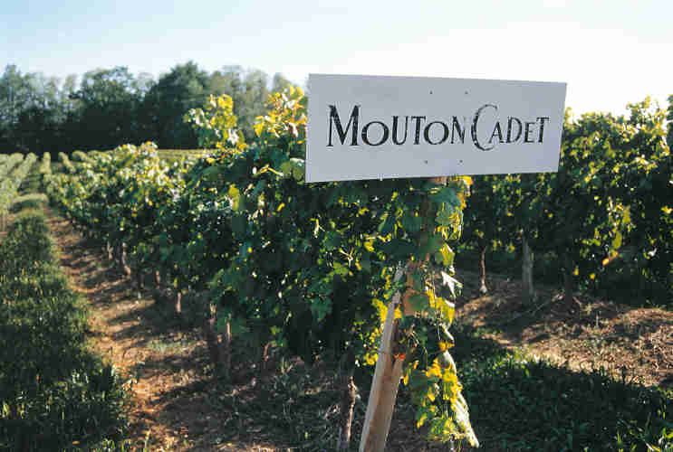 Mouton Cadet